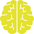 brain
