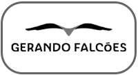 Gerando-Falcoes